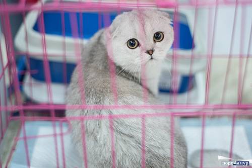 В Тельцах проснется дух первооткрывательства, Рыбам не стоит привлекать к себе внимание