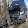 В Кирове на Павла Корчагина «Ситроен» врезался в столб: водитель погиб