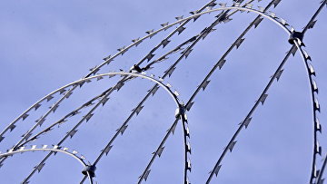 Суд приговорил к 8 годам колонии участника террористического батальона