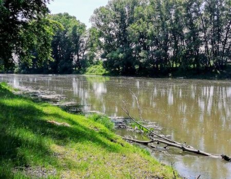 За выходные в Башкирии два ребенка утонули, трое в больнице