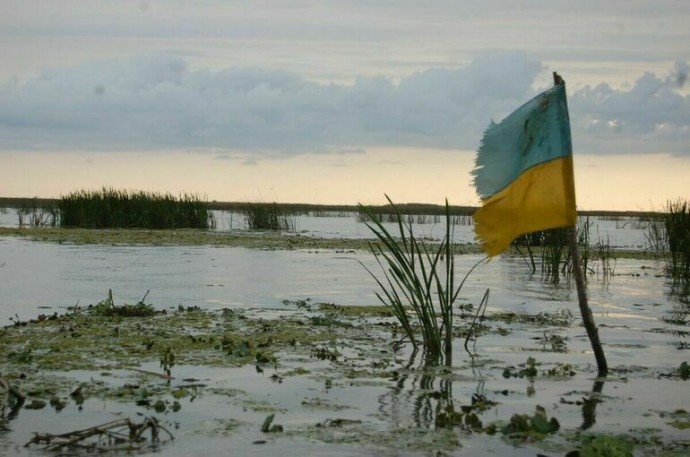 В Раде прокомментировали ответ Зеленского Путину