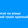 В Иркутске на улице Полярной тушат крупный пожар