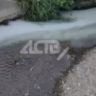 Житель Южно-Сахалинска заметил загрязнение воды в городе