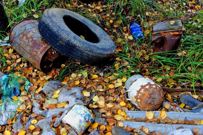 Якушев: волонтёры «Чистой Арктики» собрали более 22 тыс. тонн отходов