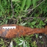 На одном из пензенских кладбищ обнаружили боеприпас