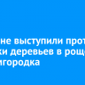 Иркутяне выступили против вырубки деревьев в роще Академгородка