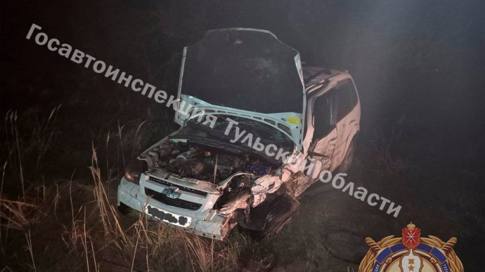 Двое детей пострадали в ДТП на 13-м километре автодороги Тула-Алешня