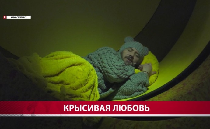 "У нас сыром пропитана вся эта история": Чехов-центр представил постановку о трагической любви мышей "У нас сыром пропитана вся эта история": Чехов-центр представил постановку о трагической любви мышей