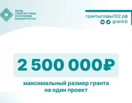 В Башкирии стартовал конкурс грантов Главы на сохранение госязыков