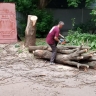 В Курске по итогам проверки дворов оштрафовали несколько управляющих компаний