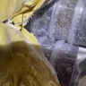 Дальнобойщик спрятал 77 кило черной икры в сахалинской кете