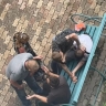 На улице в Белгороде избили и ограбили мужчин, пытавшихся помочь пьяной женщине