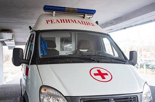 В Горном Алтае участник СВО выжил после удара молнии во время встречи с медведем В Горном Алтае участник СВО выжил после удара молнии во время встречи с медведем