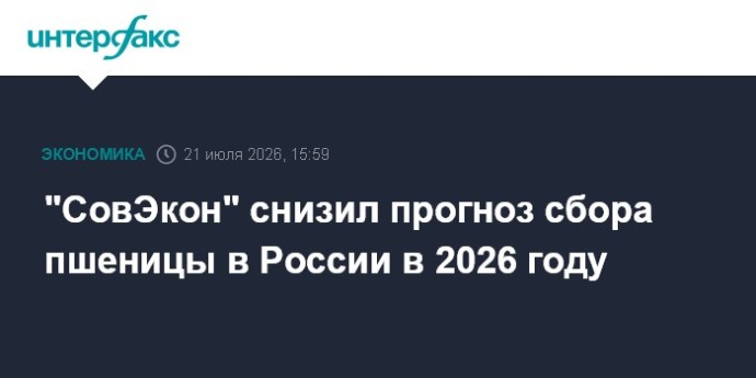 "СовЭкон" снизил прогноз сбора пшеницы в России в 2026 году "СовЭкон" снизил прогноз сбора пшеницы в России в 2026 году