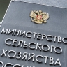 Минсельхоз обещает повысить эффективность поддержки фермеров