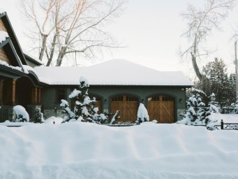 Обильные снегопады угрожают вечнозелёным растениям и кустарникам — Actualno