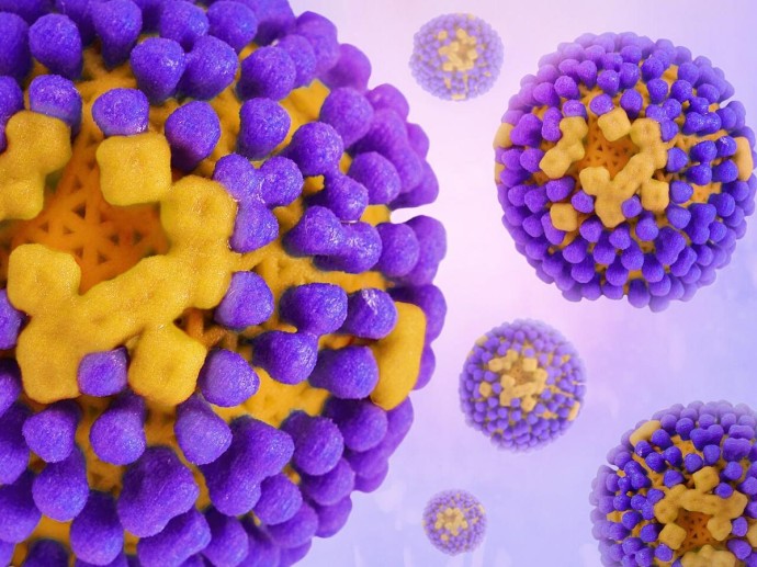 Петербург на пороге двойного удара: в город возвращаются два штамма гриппа одновременно Петербург на пороге двойного удара: в город возвращаются два штамма гриппа одновременно