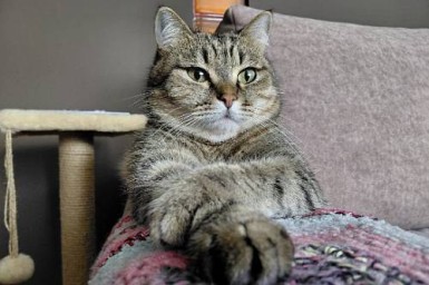 Овнам не стоит решать финансовые проблемы, Водолеям придется пойти на мозговой штурм