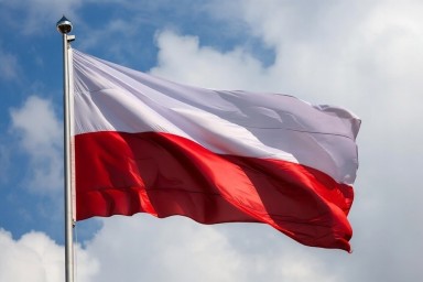 Стало известно, за что Навроцкий потребовал извинений от Туска