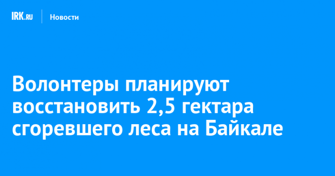 Волонтеры планируют восстановить 2,5 гектара сгоревшего леса на Байкале