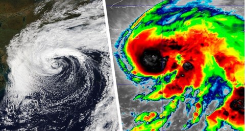 Шри-Ланка в слезах: циклон «Дитва» почти смыл остров с лица Земли, сотни погибших, туристов эвакуируют