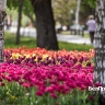 Как отдохнуть белгородцам 1–4 мая