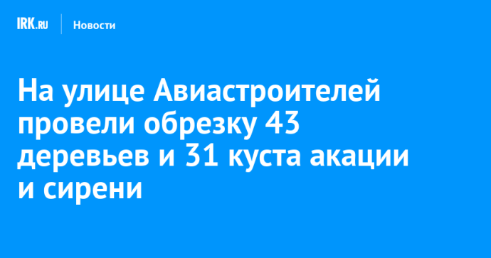На улице Авиастроителей провели обрезку 43 деревьев и 31 куста акации и сирени