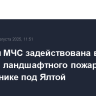 Авиация МЧС задействована в тушении ландшафтного пожара в заповеднике под Ялтой