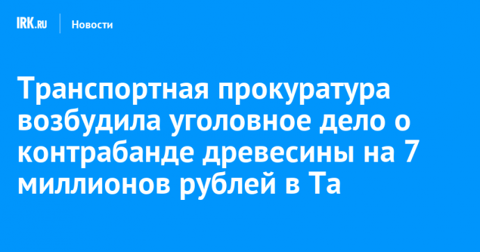 Транспортная прокуратура возбудила уголовное дело о контрабанде древесины на 7 миллионов рублей в Тайшете