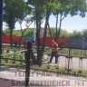 В МЦУ объяснили, почему проводится спил деревьев на набережной Благовещенска