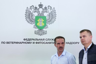 Россельхознадзор хочет ужесточить наказание за создание фантомных площадок