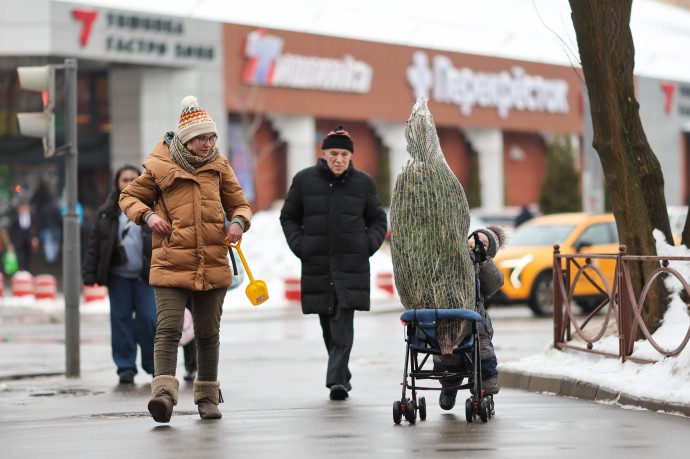 13% россиян украсят дом живой ёлкой 13% россиян украсят дом живой ёлкой