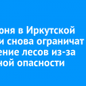 С 20 июня в Иркутской области снова ограничат посещение лесов из-за пожарной опасности