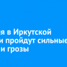 24 июля в Иркутской области пройдут сильные дожди и грозы