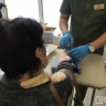 В Якутске ведут бесплатное тестирование на гепатиты