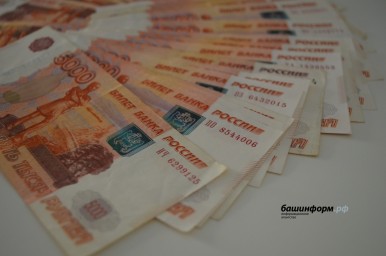 Жительница Башкирии смогла вернуть деньги, попавшие к дропперу