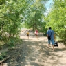 На астраханских пляжах начались проверки 