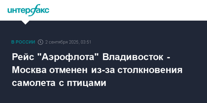 Рейс "Аэрофлота" Владивосток - Москва отменен из-за столкновения самолета с птицами