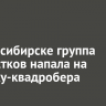 В Новосибирске группа подростков напала на девочку-квадробера