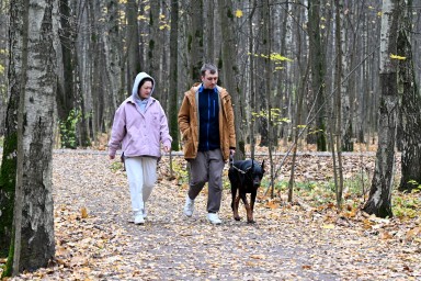 Rambler&Co: 41% россиян испытывает осенью упадок энергии и настроения