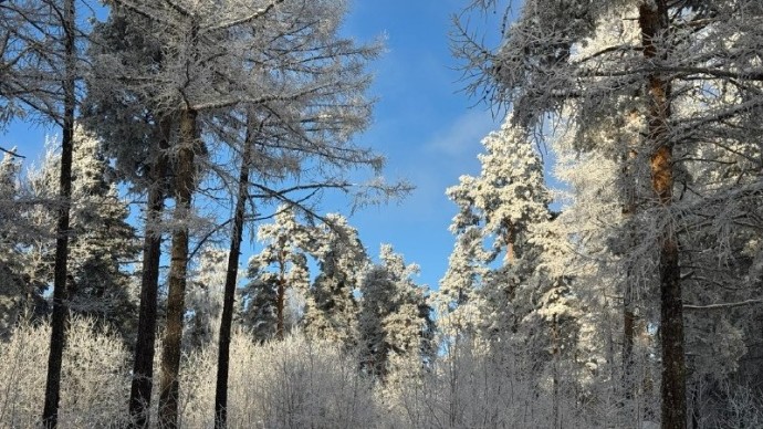 В Башкирии ударят морозы до -25 градусов