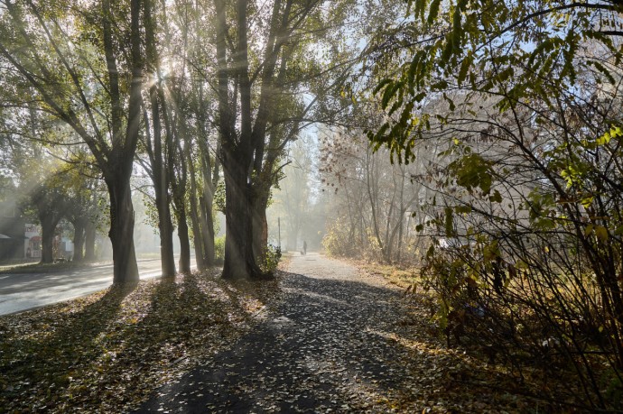 Пенза получала высокую оценку в рэнкинге устойчивости городов благодаря зелени и бюджетной дисциплине Пенза получала высокую оценку в рэнкинге устойчивости городов благодаря зелени и бюджетной дисциплине