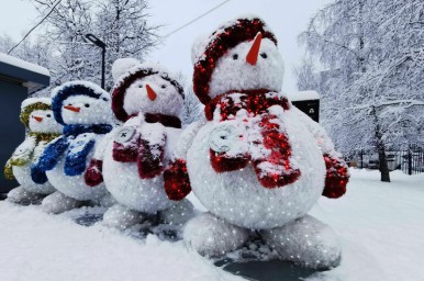 Синоптик рассказал о погоде в Москве в новогоднюю ночь