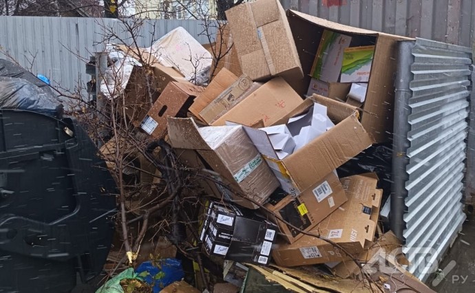 Южносахалинцы жалуются на заваленную мусорку рядом с тремя приличными организациями