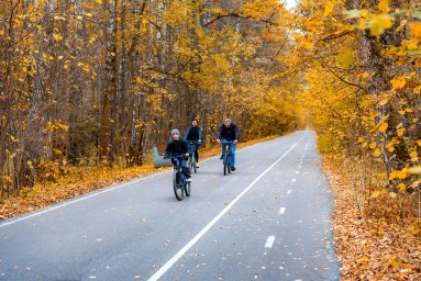 Участники проекта «Активный гражданин» выберут лучшие парки для спорта осенью