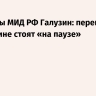 Замглавы МИД РФ Галузин: переговоры по Украине стоят «на паузе»