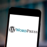 ИБ-эксперты зафиксировали рост критических уязвимостей в WordPress весной 2025