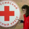 Российский Красный Крест поздравили законопроектом