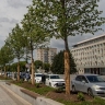 В Приамурье названы победители конкурса грантов губернатора