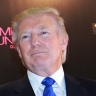 Трамп назначил посла США в Турции спецпосланником по Ираку и Сирии...